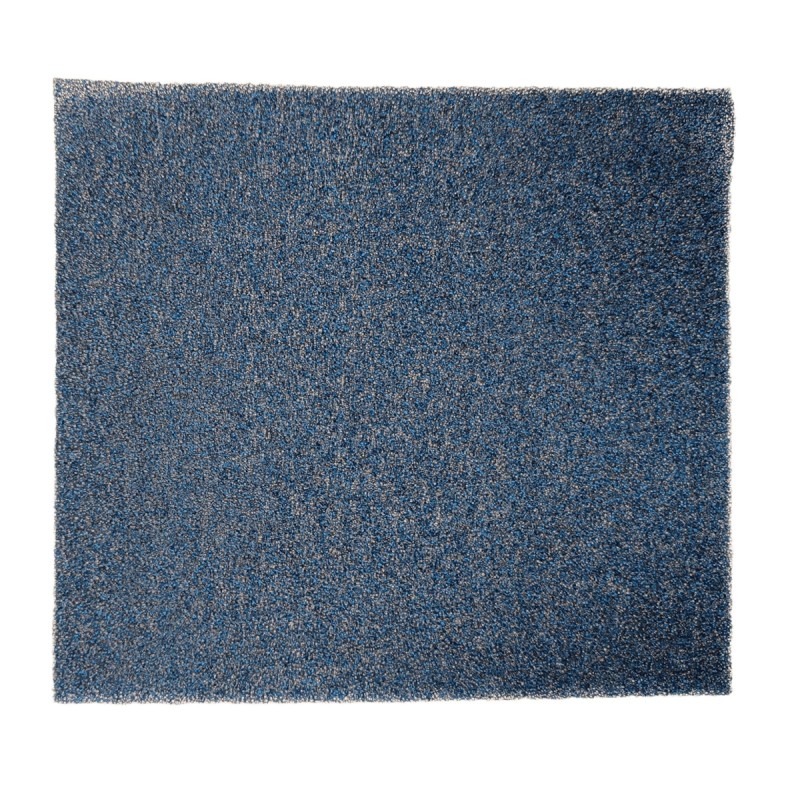 Zamjenski ionizacijski filter za AERIUM DH10 Ionic